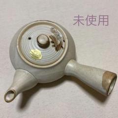 2点組　雲楽窯　紅葉　赤葉（箱あり） Amazon.co.jp: 清水焼 斎藤雲楽氏 雲楽窯 茶碗 箱付き さくら