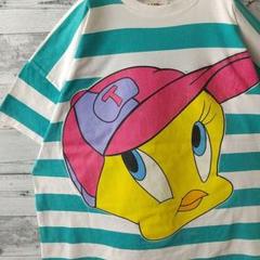 希少デザイン☆1995 ルーニーテューンズ トゥイーティー 太ボーダー Tシャツ