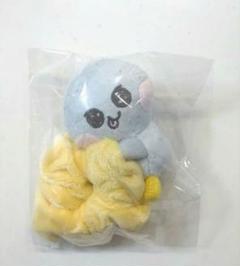 新品未開封★RIIZE SCRUNCHIE　ウンソク　ミニドール　シュシュセット 2025年最新】RiiZE ウンソク シュシュの人気アイテム - メルカリ