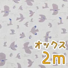 【SALE】オックス2m　北欧調バード　オフホワイト01