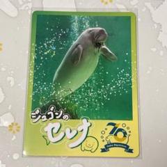 2025年最新】鳥羽水族館 ジュゴンの人気アイテム - メルカリ