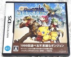時忘れの迷宮DS+ 動作確認済み・説明書付き