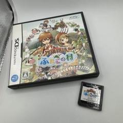 牧場物語 ふたごの村 ニンテンドーDS