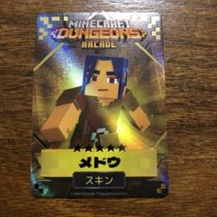 マイクラダンジョンズ　メドウ