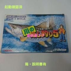 任天堂 - 【完品】川のぬし釣り 3 &amp; 4 GBA ゲームボーイアドバンス 箱 説明書 任天堂 - 【完品】川のぬし釣り 3 & 4 GBA ゲームボーイ