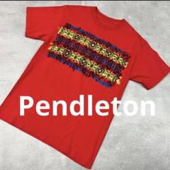 PendletonペンドルトンTシャツUSAアメリカハンティングヴィンテージ古着