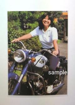 宮崎美子　L版写真 No.1のサムネイル