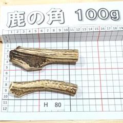 鹿の角 H80 2本セット 100g 兵庫県産 鹿角 鹿のツノ しかつの