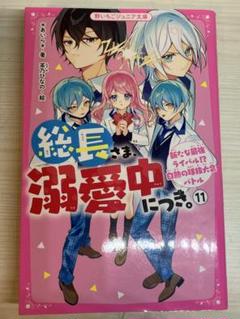 総長さま、溺愛中にき。全11巻セット 総長さま、溺愛中につき。 小説 1-11巻 全巻セット 野いちご