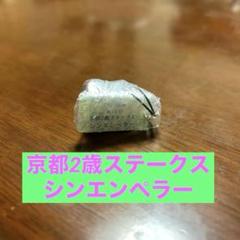 【希少】シンエンペラー ☆メイクデビュー東京 ☆ホープフルＳ 現地単勝馬券 2025年最新】シンエンペラーの人気アイテム - メルカリ