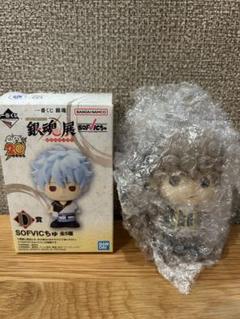 銀魂　一番くじ　D賞　ぬいぐるみ　セット 一番くじ 銀魂 ～いくつになってもくじはワクワクする～｜一番