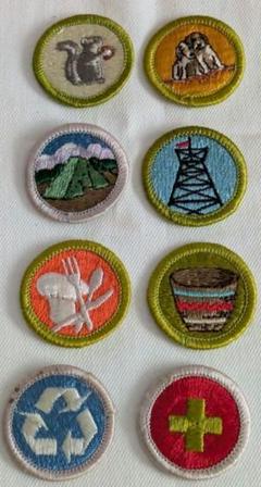 ガールスカウト ワッペン 8枚セット 刺繍 動物・自然モチーフ