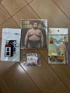 王鵬　力色紙ほか