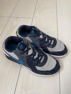 Nike エア マックス CD6893-014 22cm