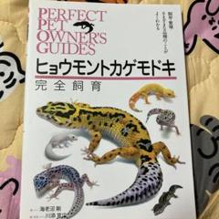 2025年最新】ヒョウモントカゲモドキ飼育の人気アイテム - メルカリ