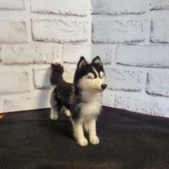 羊毛フェルト ハスキー犬