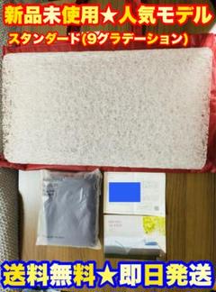 【新品★定価3万超】BRAIN SLEEP PILLOW ブレインスリープピロー