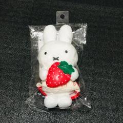 いちご　ストロベリー