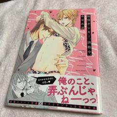 純情ヤンキー、調教中。