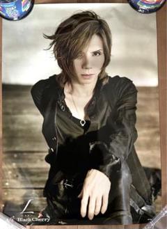 2025年最新】acid black cherry ポスターの人気アイテム - メルカリ