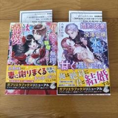 ④ガブリエラブックス 小説2冊セット