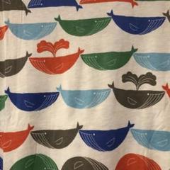 【新品】graniph カットソーワンピース(カラフルホエール)