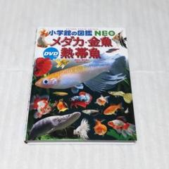★ぬ 増補改訂 熱帯魚大図鑑 / 森文俊 小林道信 ☆ぬ 増補改訂 熱帯魚大図鑑 / 森文俊 小林道信