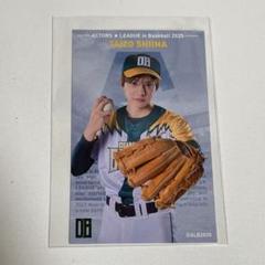 ACTORS☆LEAGUE in Baseball 2025 くじ DB椎名鯛造