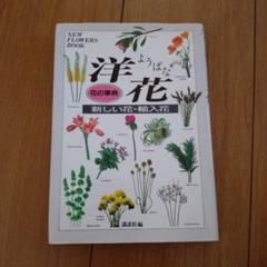 新しい花・輸入花 花の図鑑