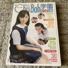 入手困難　chuboh 学園　DVD 2枚セット　橋本環奈　佐々木みゆう　他 入手困難chuboh 学園DVD 2枚セット橋本環奈佐々木みゆう他