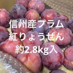 m95975306098_1.jpg?1688983154