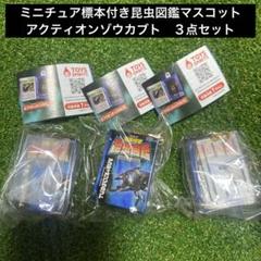 ミニチュア標本付き昆虫図鑑マスコット　アクティオンゾウカブト　３点セット　新品のサムネイル
