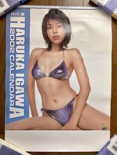 ★完全新品★井川遥★2002年 カレンダー★縦53cm×横38cm★P63★ Amazon.co.jp: 完全井川遥2002年 カレンダー縦53cm×横38cmP63