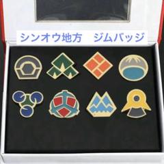 2025年最新】ジムバッジコレクションコンプリートセットの人気