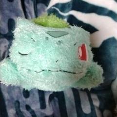もふぐっと くつろぎタイム ぬいぐるみ ポケットモンスター ポケモン フシギダネ