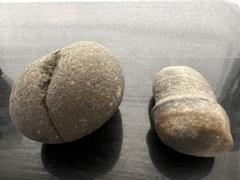 陰陽石 女陰石 生殖器崇拝 男根石 古代信仰 祭祀 発掘 出土 骨董 古美術 陰陽石 男根石 女陰石 生殖器崇拝 古代信仰 祭祀 発掘 出土 骨董
