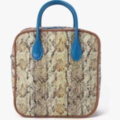 LeSportsac ハンドバッグ ウッドアッシュパイソン別売りストラップ付き レスポートサック ウッドアッシュパイソン トートバッグ