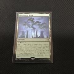 MTG　耐え抜くもの、母聖樹　２枚セット（プロモパック版） MTG 耐え抜くもの、母聖樹日本語2枚
