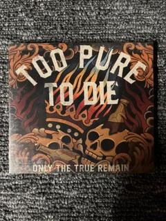 TOO PURE TO DIE ハードコア　メタルコア　NYHC