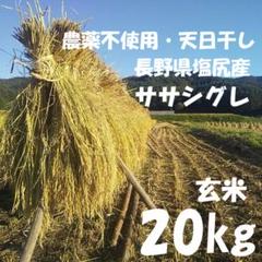 農薬不使用/天日干し/コシヒカリ/玄米20㎏/長野県塩尻産/令和5年