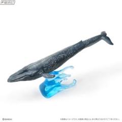 2025年最新】KUZIRA 廃盤の人気アイテム - メルカリ