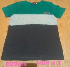 EDWIN 半袖 Tシャツ 140cm 子供 エドウィン 緑 グリーン