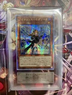 【特価】アロマリリス ロザリーナ　アジア　25th　ARS10 m96148834520_1.jpg?1713072776