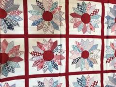 QUILT GATE ドレスデン？綿プリント生地1m