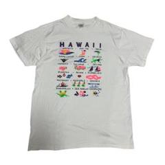 90s DELTA Tシャツ ハワイ グッドデザイン USA製 シングルステッチ