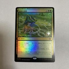 mtg 箔押しプロモ ３枚セット ヴァルガヴォス 放血者 チミル lci dsk 70726f647563742f64736b30323731