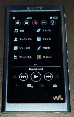 SONY ウォークマン NW-A55 動作品 16GB 動作品 Amazon.co.jp: ソニー ウォークマン Aシリーズ 16GB NW-A55