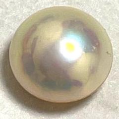 特大　マベパール　ルース 楽天市場】マベ ルースの通販