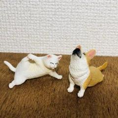 ※るびー☆8　朝隈俊男  猫&amp;子猫のヨガマスターセット 朝隈俊男シリーズ 猫のくらし PART-1｜商品情報｜タカラトミーアーツ