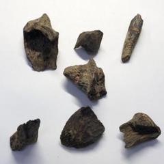 訳あり【緑油伽羅 塊×4個 】計約15.6g 伽羅 キャラ 蘭奢